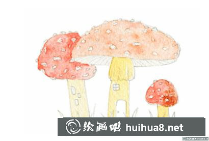 蘑菇屋插画
