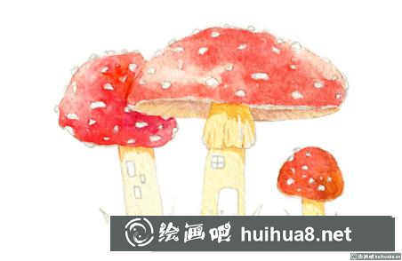 蘑菇屋插画