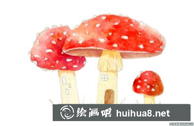 蘑菇屋插画