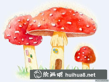 蘑菇屋插画
