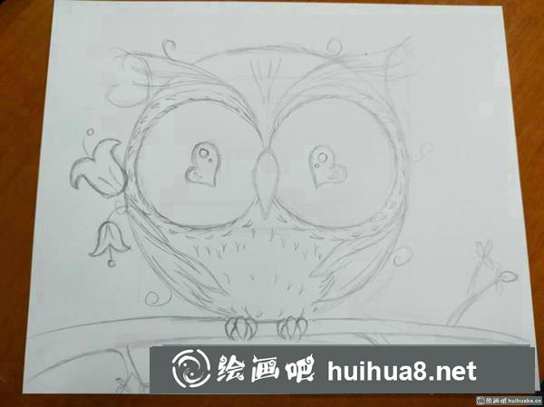 可爱猫头鹰插画