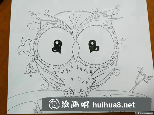 可爱猫头鹰插画