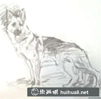 素描教程：怎么画狗