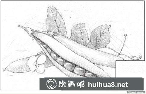 彩铅画草莓 彩铅画草莓