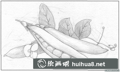 彩铅画草莓 彩铅画草莓