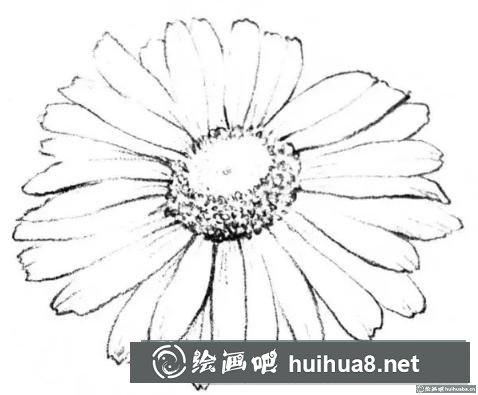 花卉的画法 花卉的画法