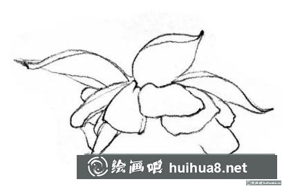 花卉的画法 花卉的画法