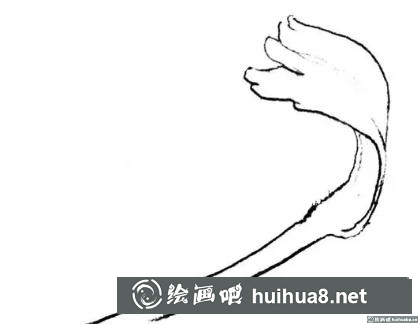 花卉的画法 花卉的画法