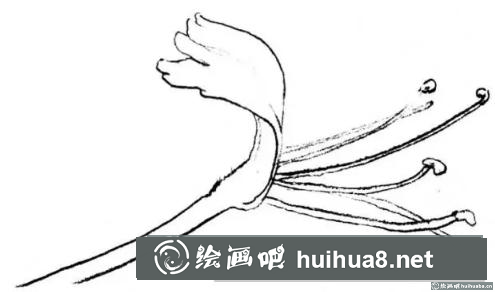 花卉的画法 花卉的画法
