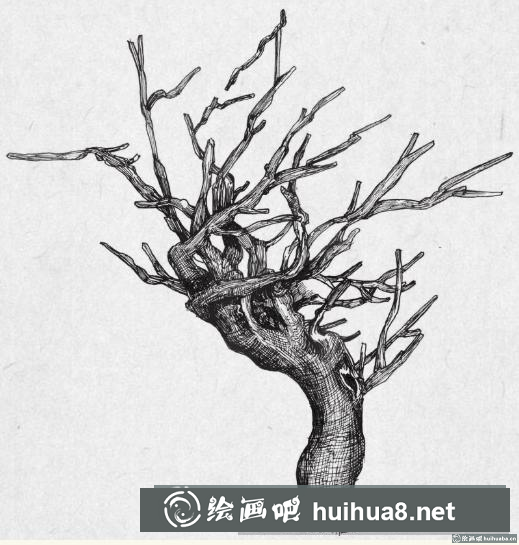 钢笔画树枝