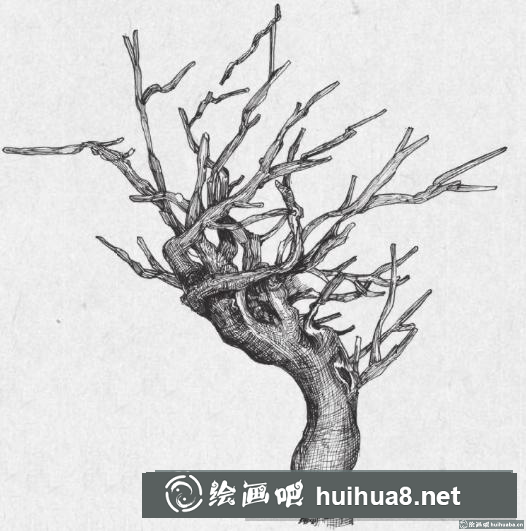 钢笔画树枝