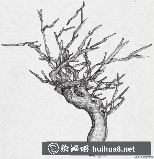 钢笔画树枝