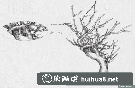 钢笔画树枝