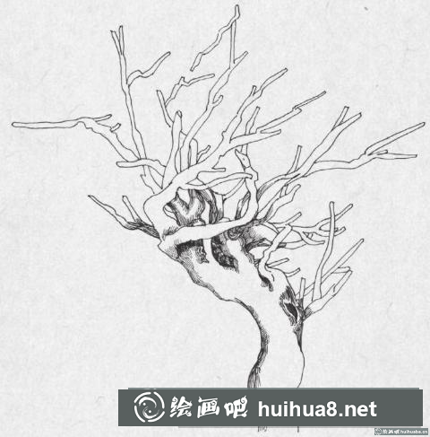 钢笔画树枝