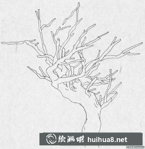 钢笔画树枝