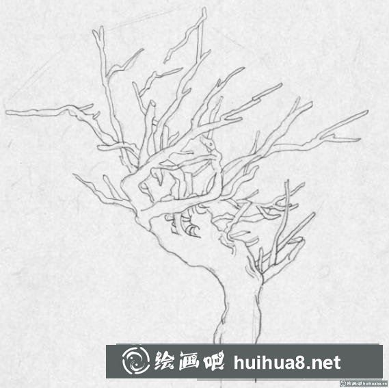 钢笔画树枝