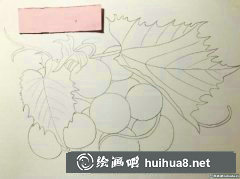 水彩画葡萄熟了绘制教程
