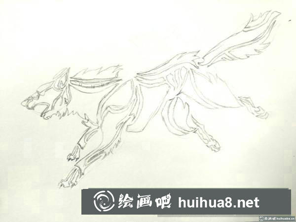 狼插画