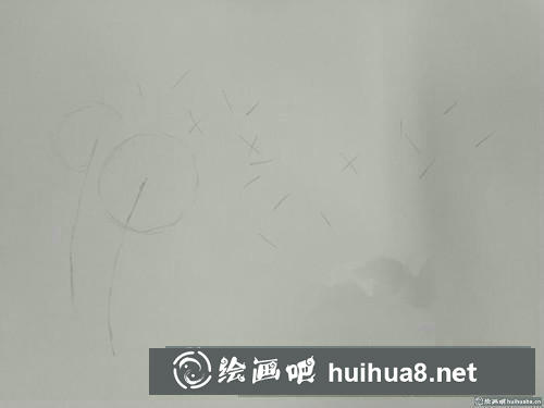蒲公英插画