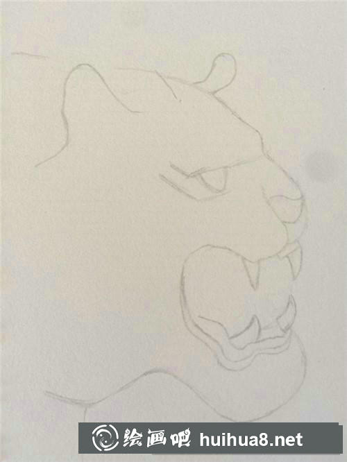 老虎插画 老虎插画