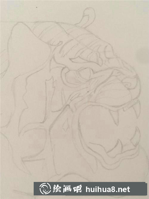 老虎插画 老虎插画