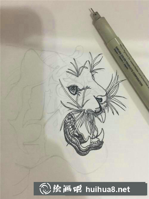老虎插画 老虎插画