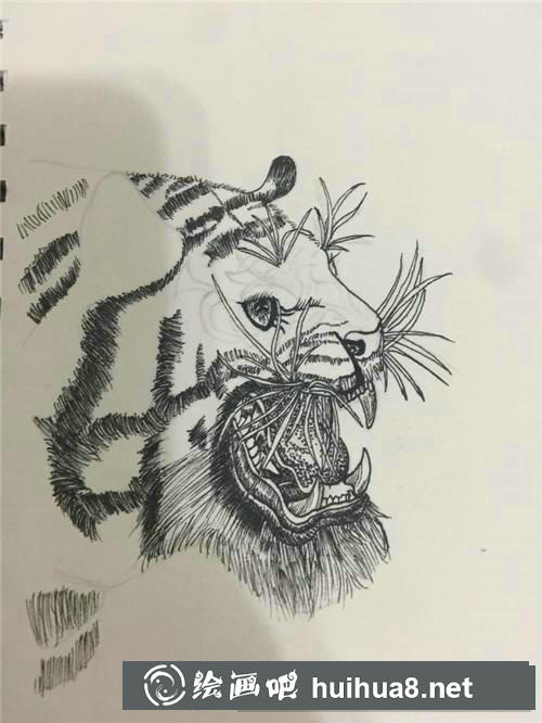老虎插画 老虎插画