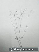冬青插画入门步骤