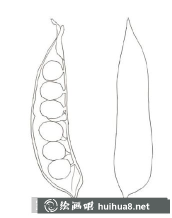 四季豆儿童画