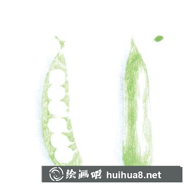 四季豆儿童画