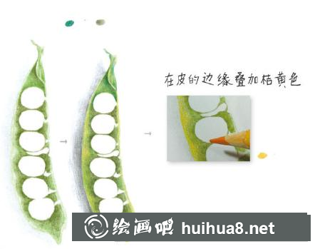 四季豆儿童画