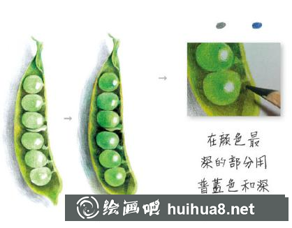 四季豆儿童画