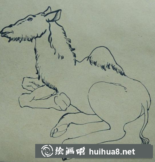 骆驼的画法