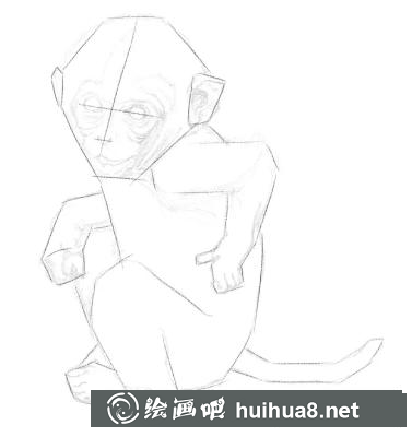 素描画猴子