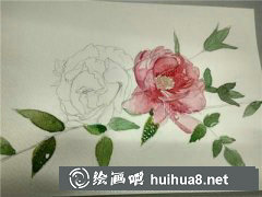 水彩画教程：花绘技巧分享