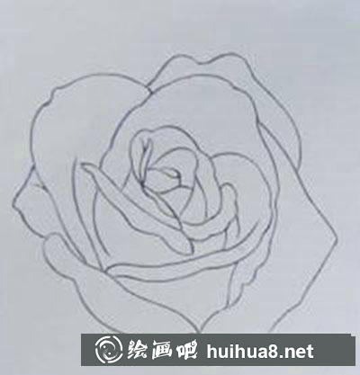 白玫瑰着色画法教程