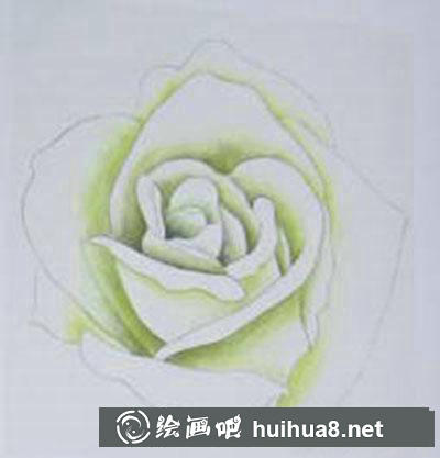白玫瑰着色画法教程