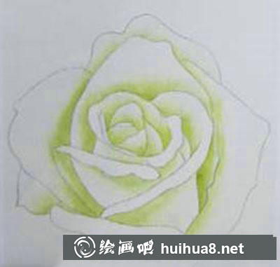 白玫瑰着色画法教程