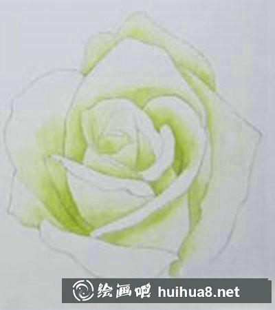 白玫瑰着色画法教程 白玫瑰着色画法教程