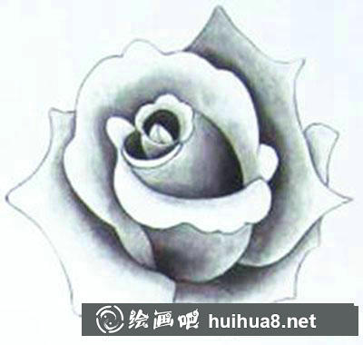红玫瑰着色画法教程