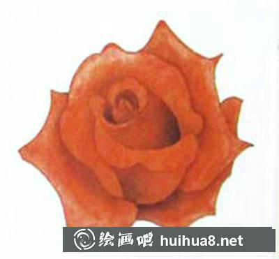 红玫瑰着色画法教程