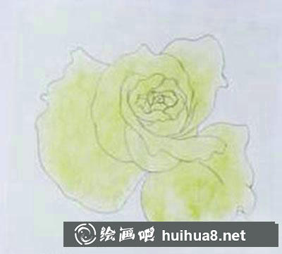 粉色玫瑰着色画法教程
