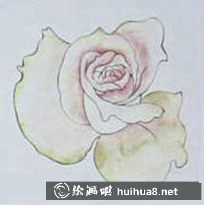 粉色玫瑰着色画法教程
