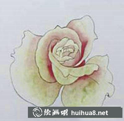 粉色玫瑰着色画法教程