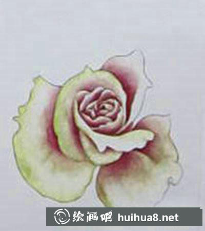粉色玫瑰着色画法教程