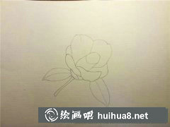 单瓣茶花水彩画教学步骤