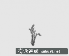 国画枇杷绘制技巧