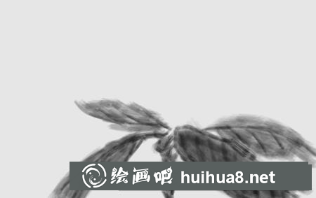 国画教程 国画教程