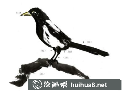 喜鹊的画法 喜鹊的画法