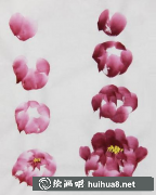 国画教程牡丹花苞画法